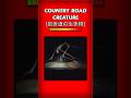 Country Road Creature [Trevor Henderson] #horror #animation #countryroadcreature #trevorhenderson