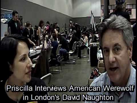 Priscilla meets An American Werewolf in London's D...