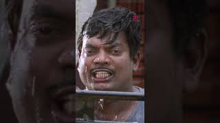 Watch👆Pulival Kalyanam Comedy Scenes #jayasurya #kavyamadhavan #lal #salimkumar #comedy #shorts