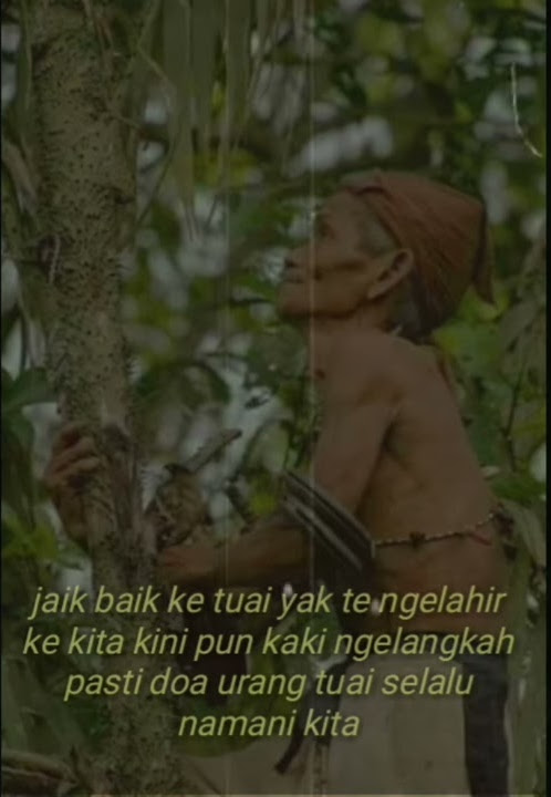 Snap/story' wa lagu Dayak keren