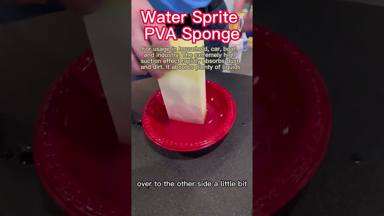 NEW! SM Arnold PVA Sponge