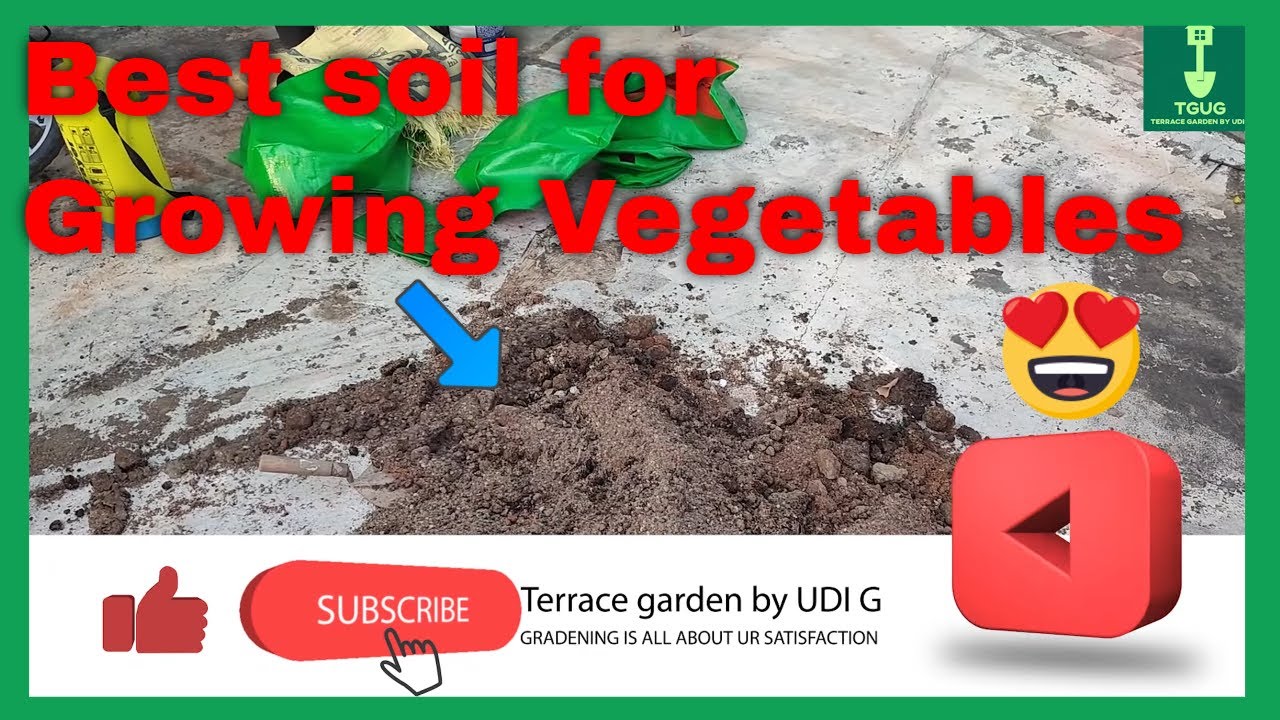 How to mix soil for vegetable garden Dhaniya and Spinach YouTube