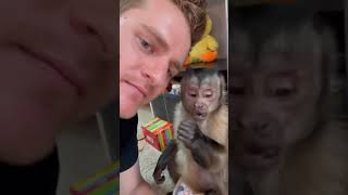 George the Monkey Teases Human with Food