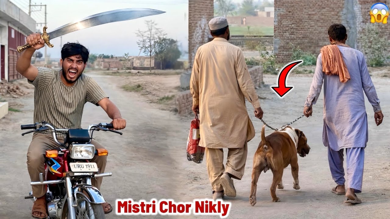 Mistri Hamara Bully Dog Badshah Chori Kr Ky Ly Gy 😱