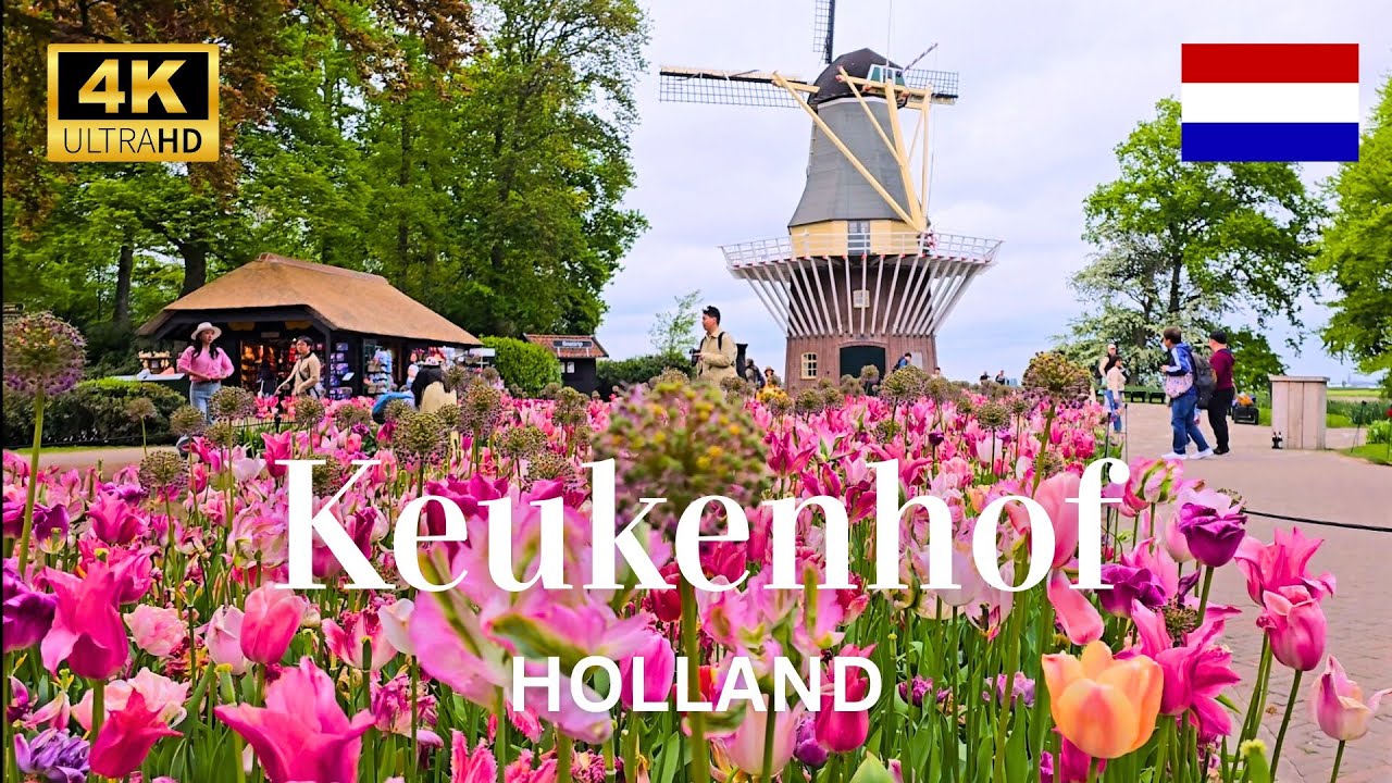 🌷Keukenhof | World's Largest Flower Gardens | Holland's Stunning Spring Flowers 4K WalkTour🌷🇳🇱
