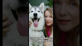#꿈해몽, #튤립, #꿈, #운세, #이슈, #지식, #내마음,