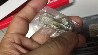 ハセガワ　1／350戦艦　三笠　初版を開封する