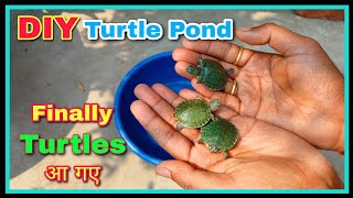 Finally मेरे Turtles आ गए 😍😍 || देसी DIY Turtle Pond