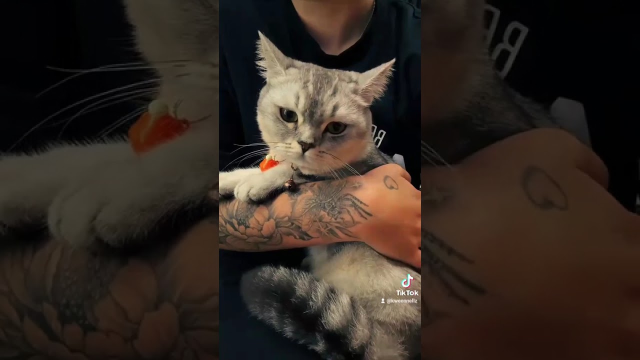 Experiencing the Thrill, Hanoi Train Street, Wonderscape Travel from chanelle a. 🚂