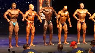 2019 WNBF MUSCLE MAYHEM PRE JUDGING