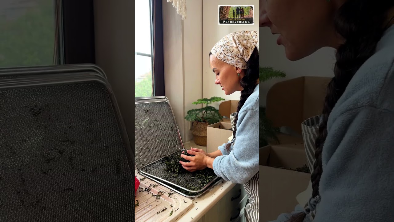 КАК ХРАНИТЬ ИВАН-ЧАЙ ?