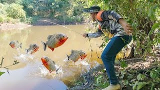 O RIO ESTÁ INFESTADO DE PIRANHAS DE COM3R BOI