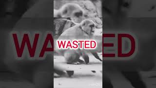 MISSION:defeat punch monkey #punchmonkey #punchmonkeyedit