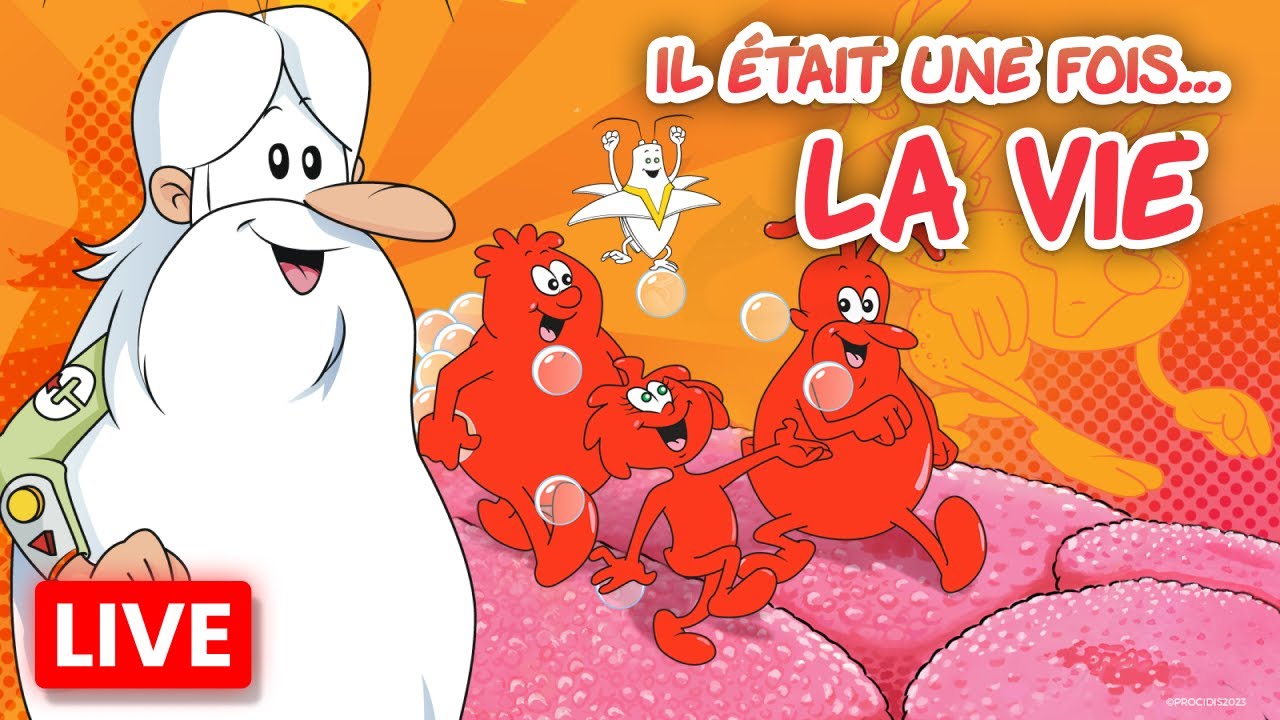 LE CORPS HUMAIN, il etait une fois la vie. tome 1. les muscles