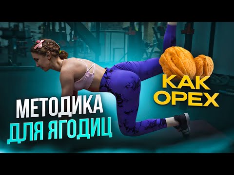 Как накачать ягодичные мышцы - Юрий Спасокукоцкий. Лучшие методики и упражнения. Таймкоды в описании