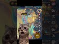 3Star 5cost party in Golden Spatula
