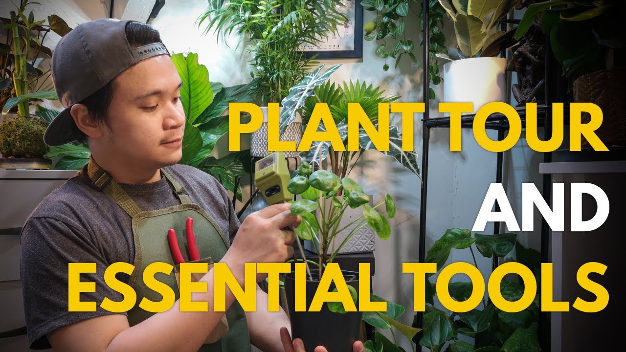 Plant Tour and Essential Tools | Equipment for Care and Maintenance of Houseplants