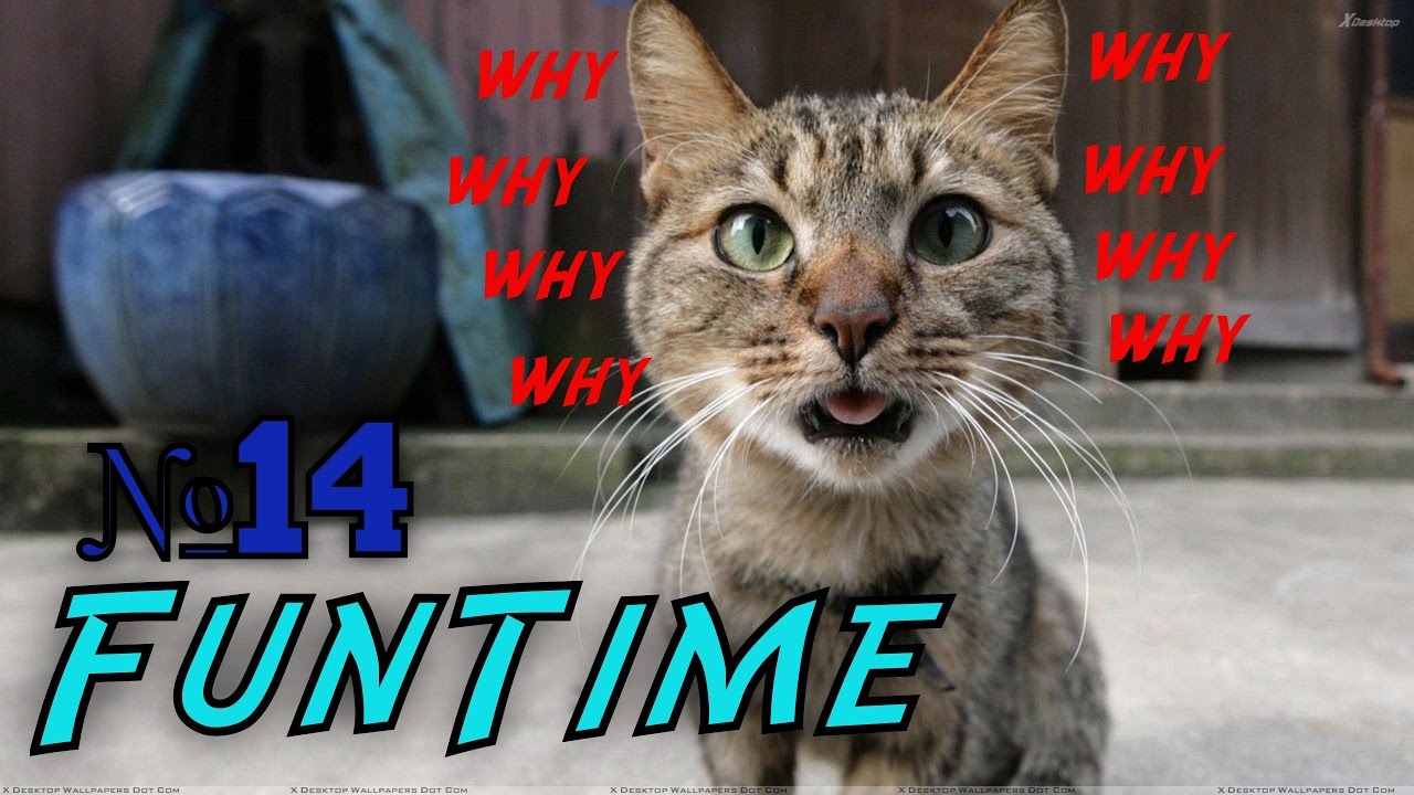 Приколы 2016 Best Fail 2016 Funny Jokes Приколюха Я Плакал Жесть))