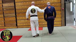 2 Person Flow Drill for first half of Pinan Shodan Kata