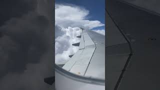 Celebrity I will never fly with Spirit airlines again😤 horrible….￼ Wealth