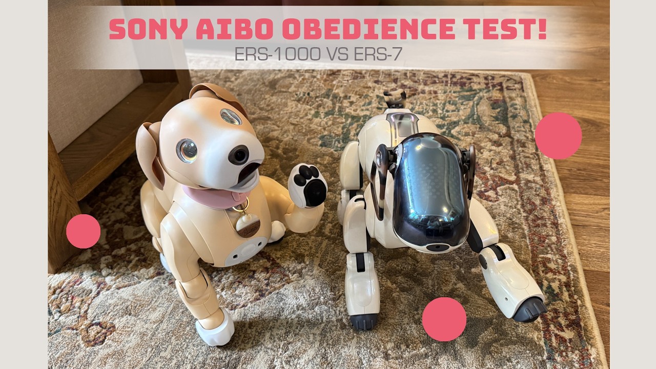 Is The New Sony Aibo ERS-1000 More Obedient Than The ERS-7? 🐾
