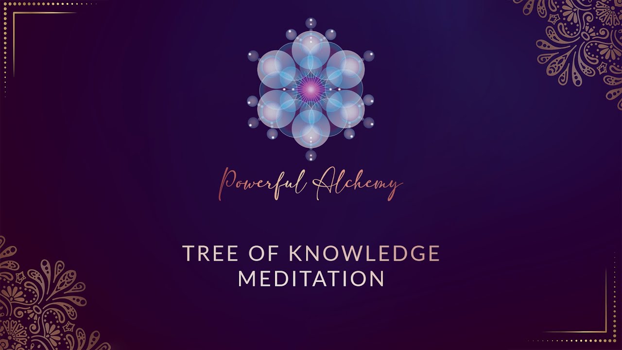 Tree Of Knowledge Meditation YouTube