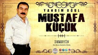 Mustafa Küçük / Demeyin Resimi