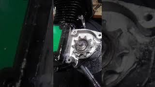 Famous 12 T gear. It's time to install it!!!! Wealth