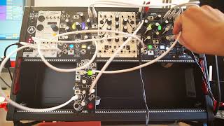 Trying to get Two Morphagenes Working Together
