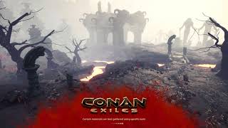 Conan Exiles, 18.6.1 possible texture flickering bug FIX on Vega 64/56 (HBCC)