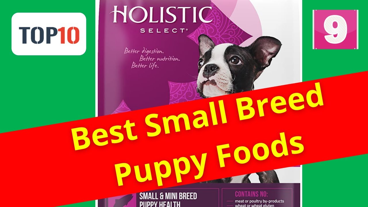 Top 10 Best Small Breed Puppy Foods Holistic Select (Reviews) Part 9