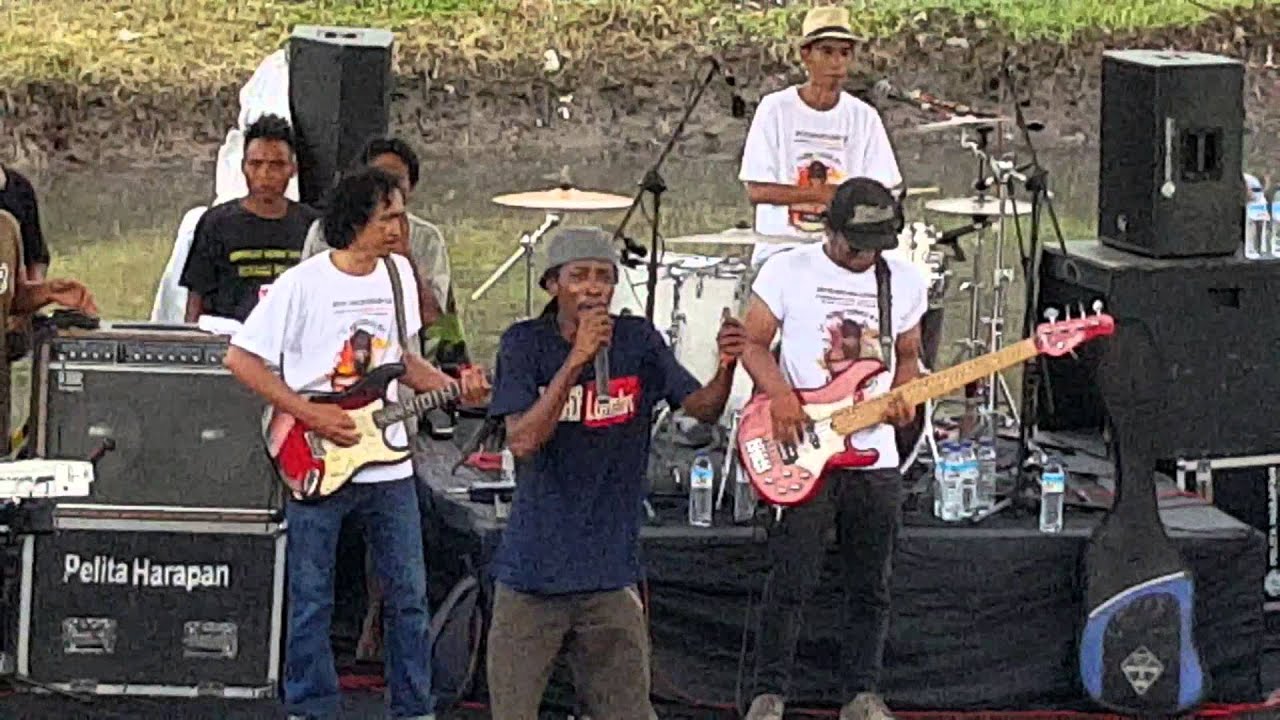 SQUIDLY COLE Cumi-cumi.... oop oppp op like Ampenan