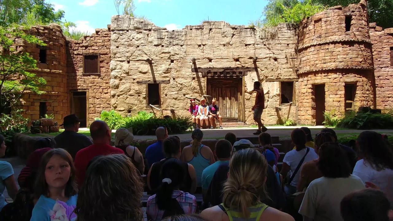 Flights Of Wonder Animal Kingdom - 2017