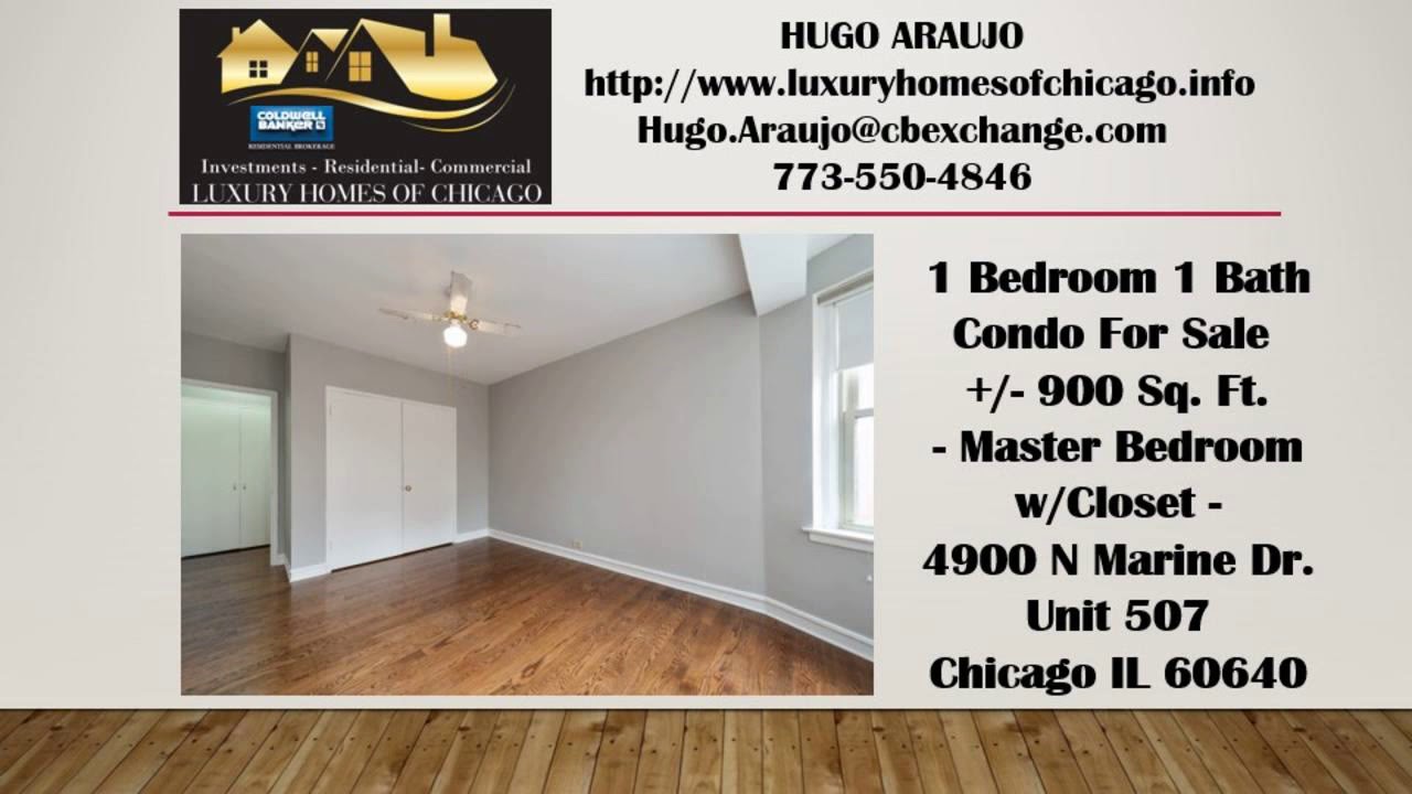 1 Bedroom home 1 bath 950 square foot in JOSEPH E HILL EDUCATION CENTER Uptown hardwood