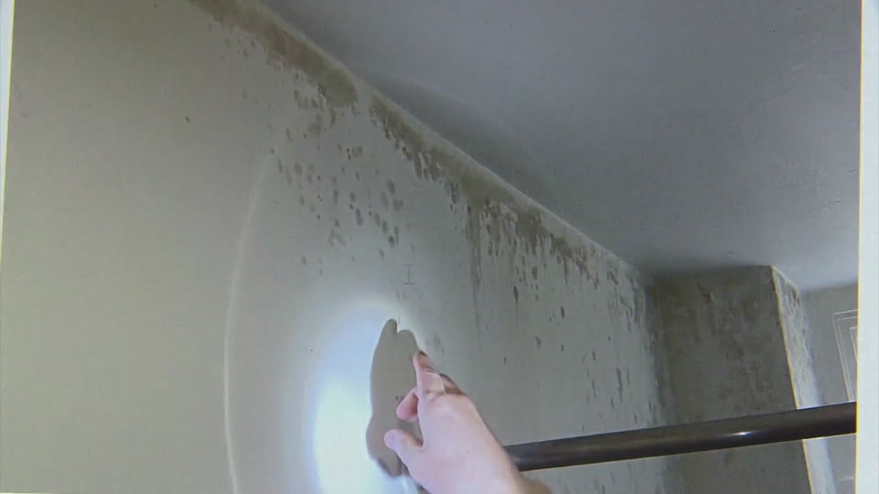 Renters react to settlement reached with property management company