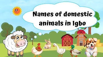 The names of animals in Igbo(domestic animals)