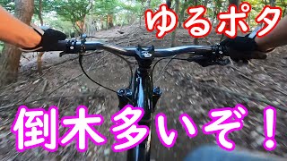 高山トレイルで倒木だらけのゆるポタ 公民館から始まるハイキングコースを自転車で