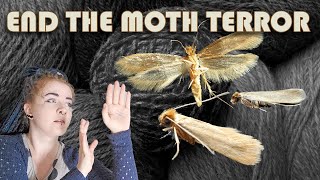 How to prevent and fight moths in your yarn stash! 