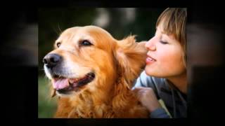 Why Buy Life's Abundance?