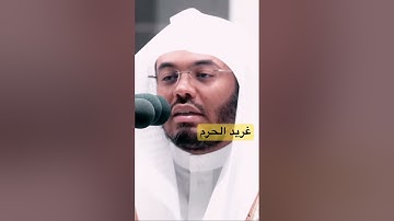 وصايا لقمان لإبنه✨ تلاوة مؤثرة#غريد_الحرم #ياسر_الدوسري