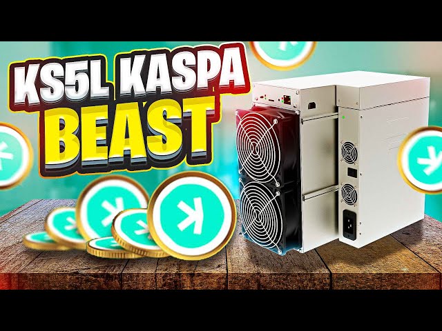 KASPA BEAST MODE!! KS5L - THX Red Panda Mining - YouTube