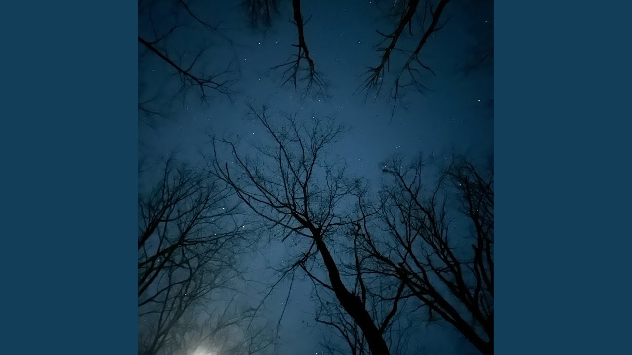 Watch DYSTOPIA on YouTube Watch DYSTOPIA on YouTube