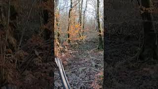 Sanglier loupé dans les bottes en Meuse #board #chasse #chasseausanglier #hunting #sangliers #meuse Sanglier loupé dans les bottes en Meuse #board #chasse #chasseausanglier #hunting #sangliers #meuse