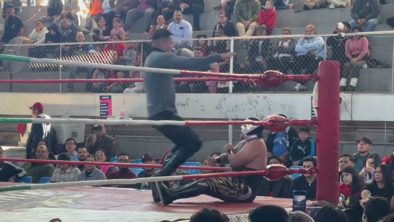 Lucha Bull Terry  De La Tarde Turok Jr🆚Único Jr