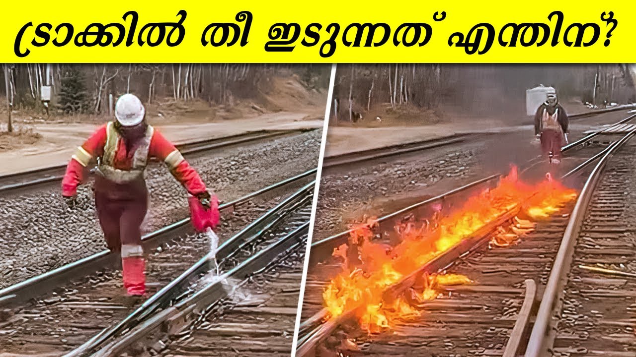 പൂച്ചയുടെ കണ്ണിൽ നോക്കി സമയം അറിയാമോ?? തന്നെ ബാലൻസ് ചെയ്യുന്ന ബൈക്ക്.. ട്രാക്കിൽ എന്തിനാ തീ?