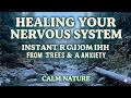 Healing Your Nervous System, Instant Relief from Stress and Anxiety, Calm Nature 🌿