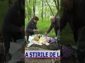 La sate oamenii au sărbătorit Ziua Muncii, muncind.