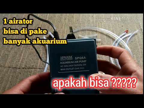 Video: Bagaimana Udara Bisa Dibagi?