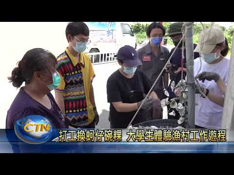 打工換蚵仔碗粿! 大學生體驗漁村工作遊程