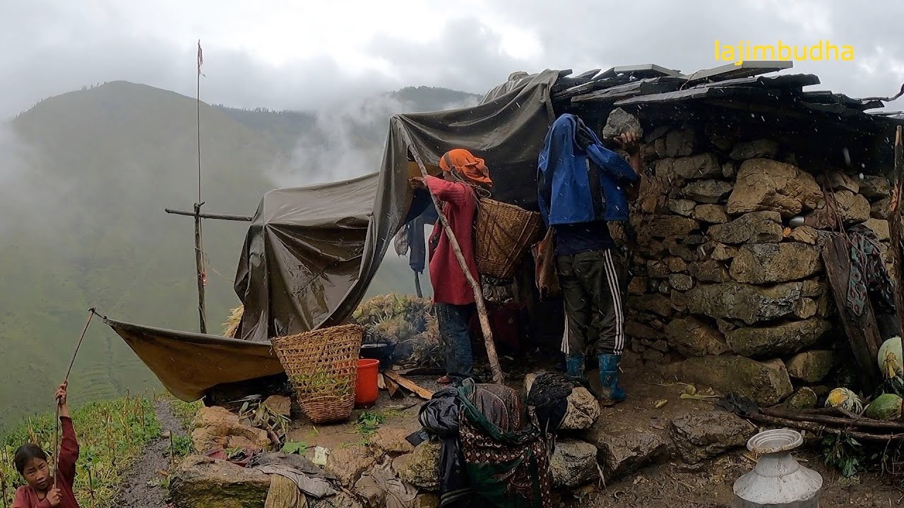 mountain people life || Nepal 🇳🇵 || lajimbudha ||